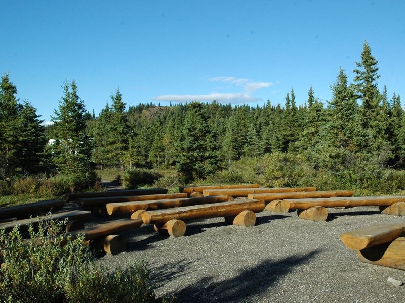 The Teklanika area is wooded, though less-so than Riley Creek and Savage River Campgrounds