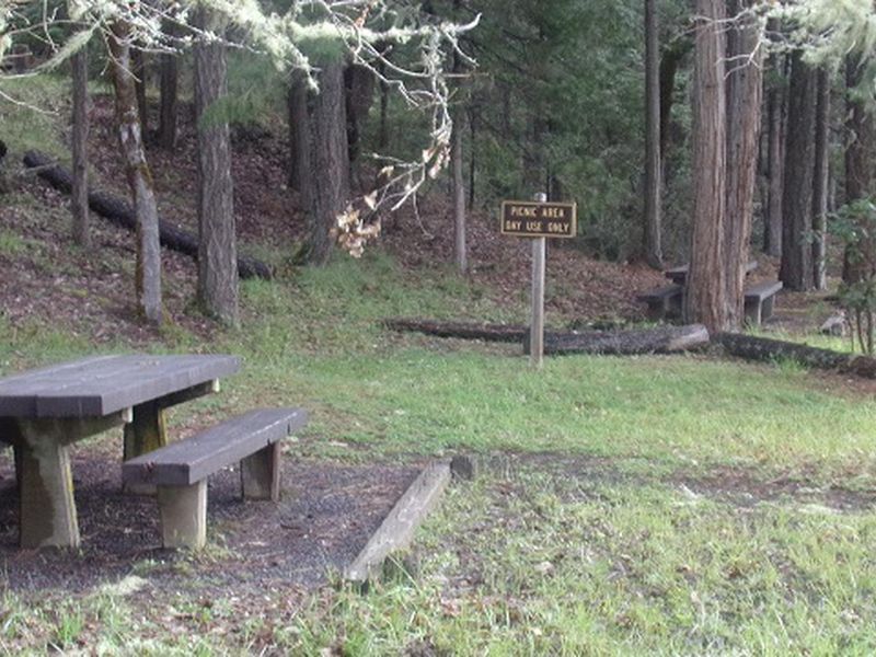 Picnic Area 2