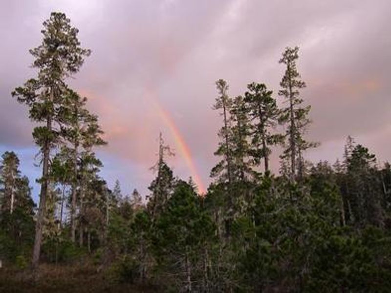 Kah Sheets Lake Cabin