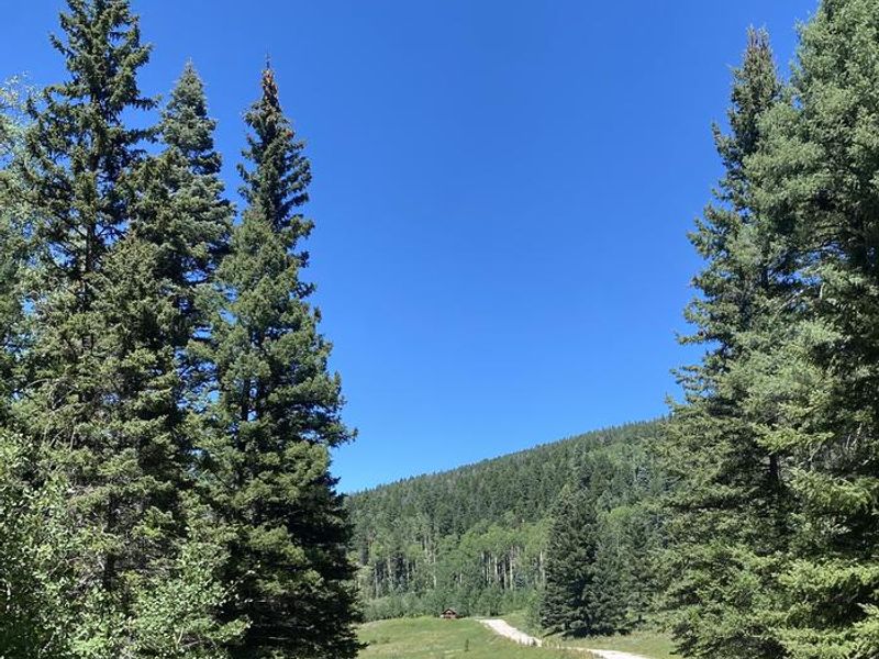 Paved Road to Group Sites