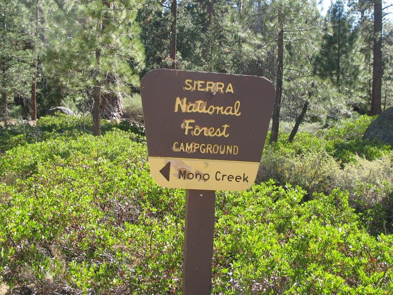 Mono Creek Campground, Sierra National Forest