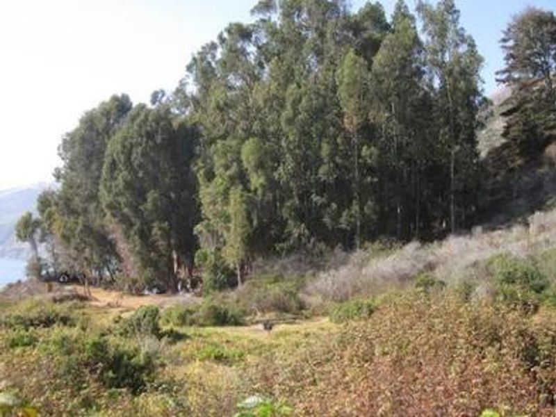 Kirk Creek Campground