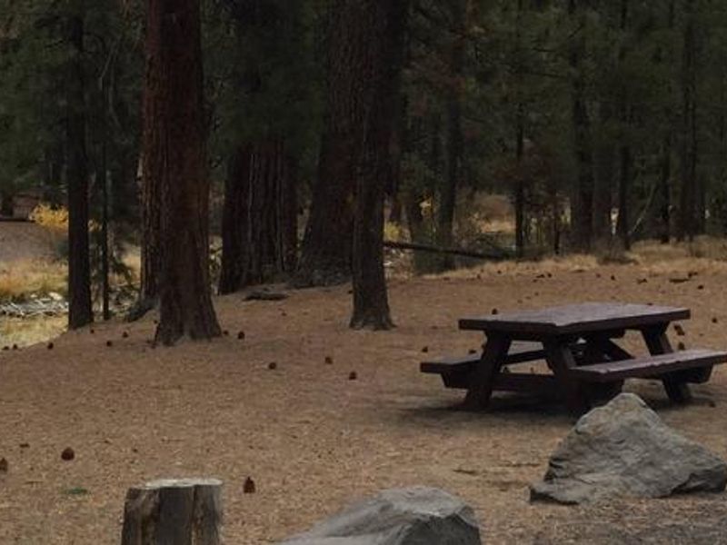 McKay Crossing Campground