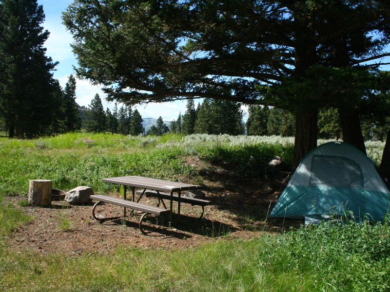 Slough Creek Campground Site #8