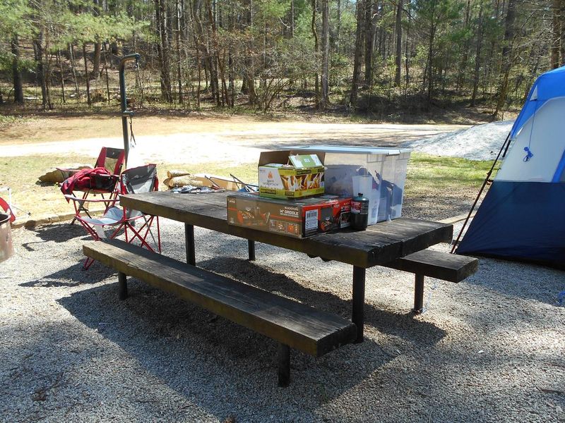 Enjoying time in the Forest