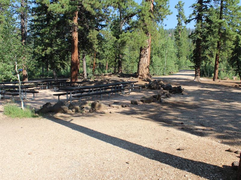 Wagon Train group site