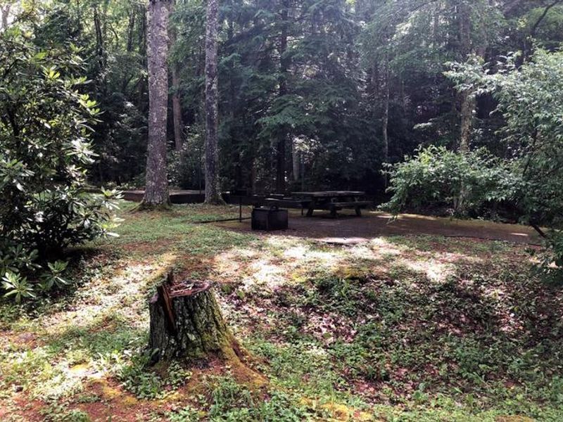 Views of Hurricane Campground 