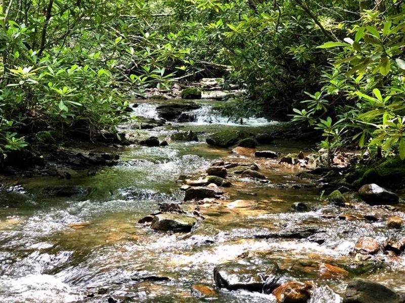 Views of Hurricane Campground 