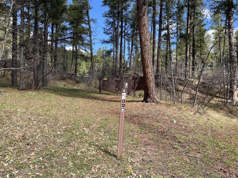 Cliff Swallow Trailhead Located in the Campground