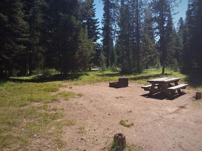 Campsite at Diamond Lake Campground, Umpqua National Forest