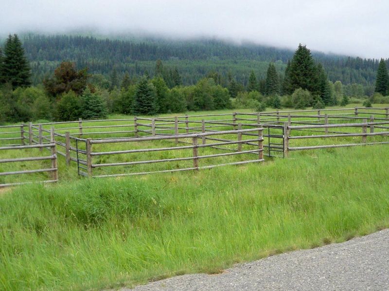 Corrals are located just across the road