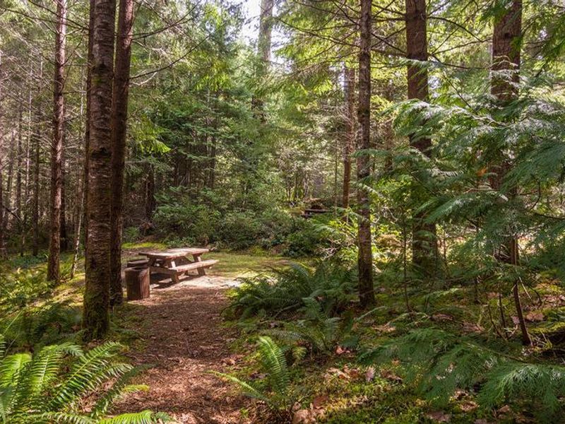 Cave Creek Campgound Campsite