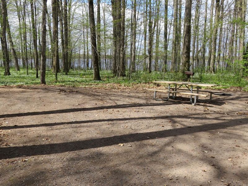 View of a campsite at the Chippewa campground