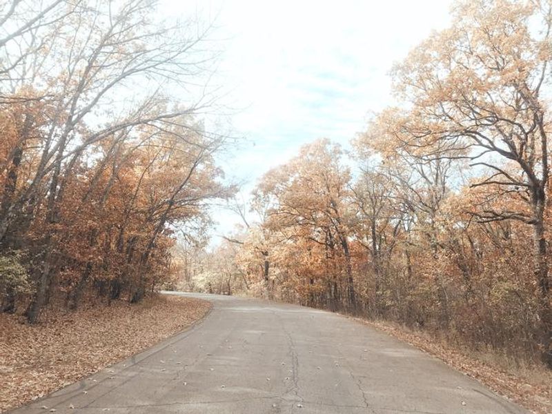 Redbud Bay in the fall 