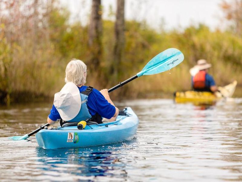 Paddling Down the Suwannee Canal