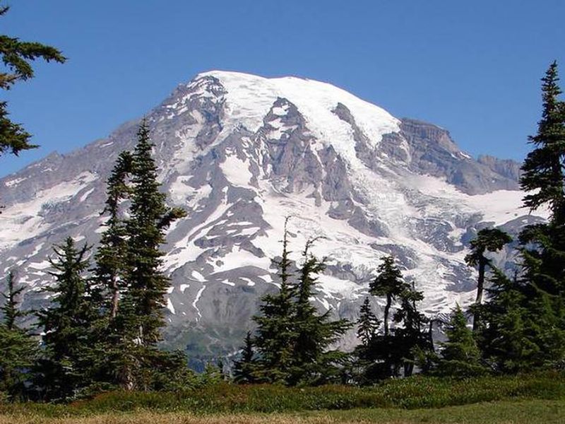 Mt Rainier