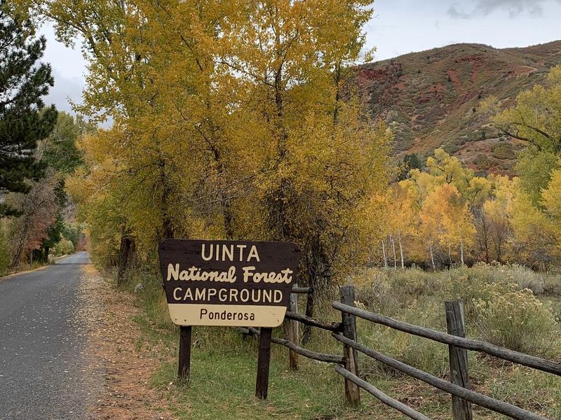 Ponderosa Uinta Campground