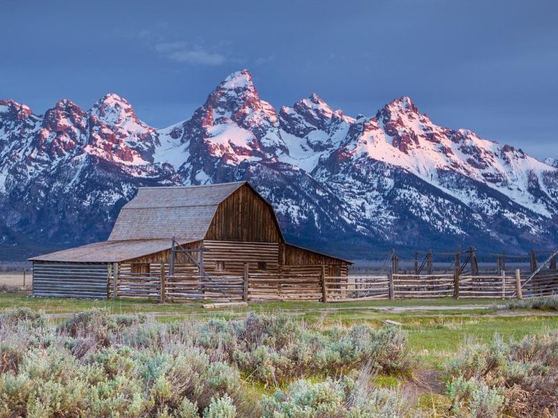 The Gros Ventre area is a prime location for wildlife watching and photography. Walk along the banks of the river under cottonwood trees and willows to capture that perfect photo of a beaver, moose, elk, bison, or bears. (Be sure to maintain appropriate distance!) Located a short drive away is Mormon Row, featuring the iconic and historic John Moulton barn. 