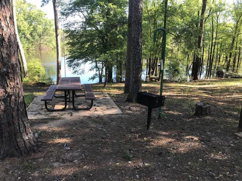 Campsite #4. Tent site with the following amenities: fire-pit, grill, picnic table, lantern pole, trash can.