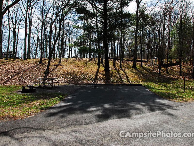 Lewis Mountain Campsite #19