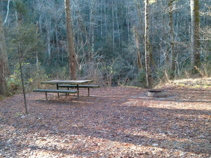 Typical walk in campsite at West Fork Campground