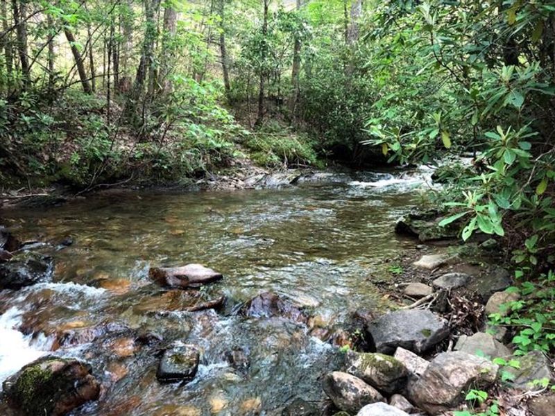 Views from Hurricane Campground 
