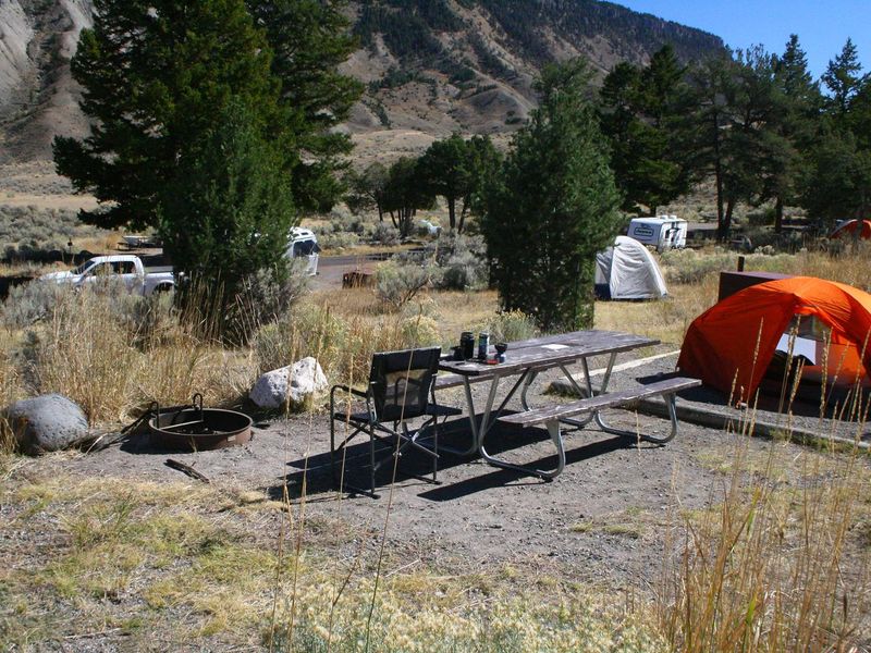 Mammoth Campsite #77