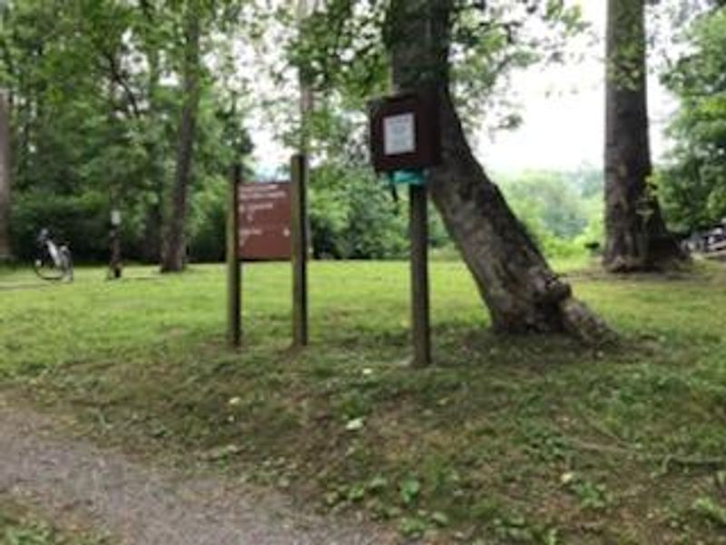 Cacapon Junction Hiker-Biker Campsite