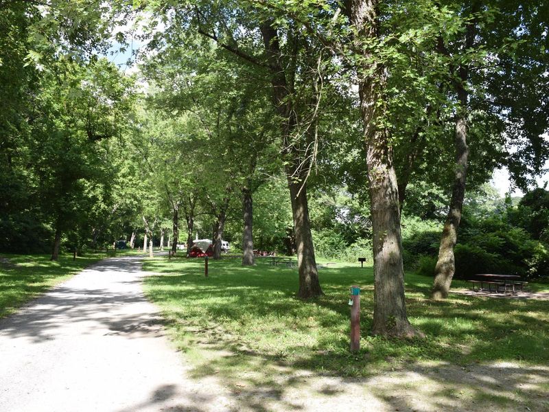 Path to campsites and a few campsites 