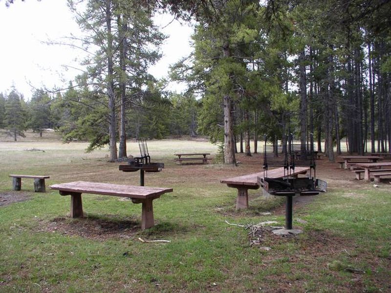 Willow Park Group Area