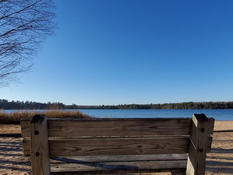 Shoreline View at Colwell Lake Campground