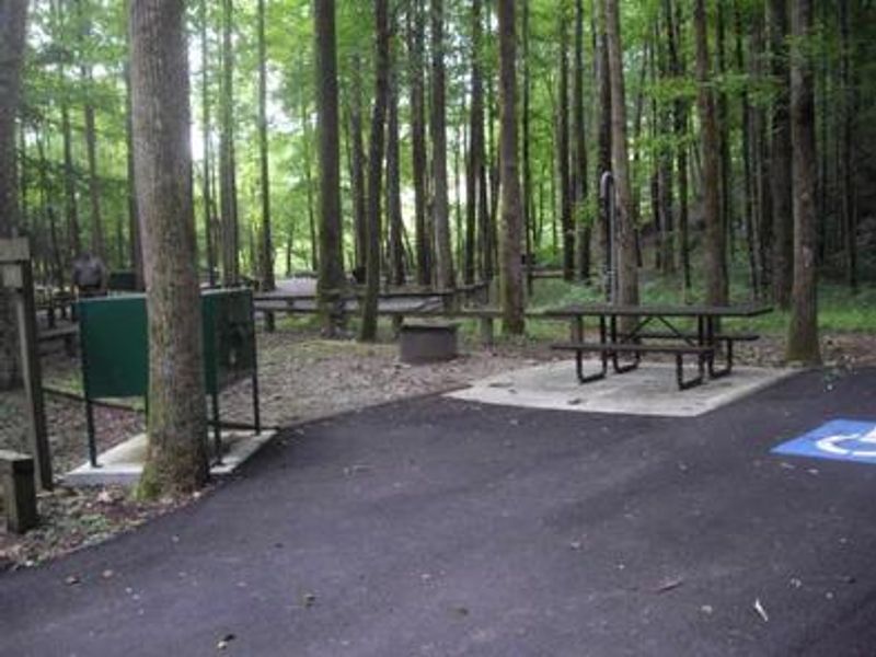 Accessible site with paved area around picnic table and food storage locker.