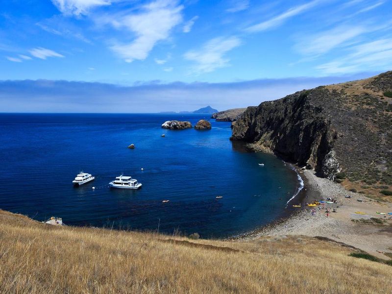 Santa Cruz Scorpion Harbor