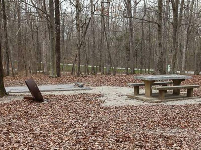 Fall in the campground, each site has a fire ring and picnic table