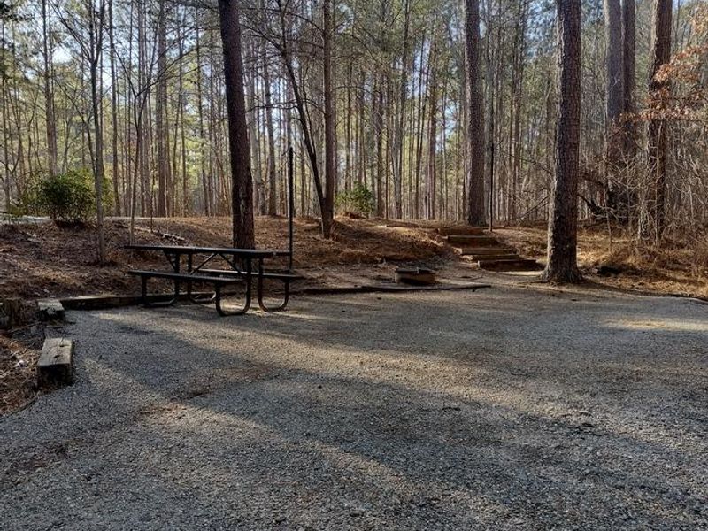 Welcome to Campsite #31