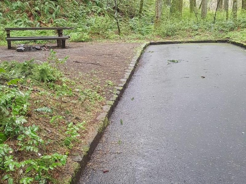 Wyeth campground Site #5