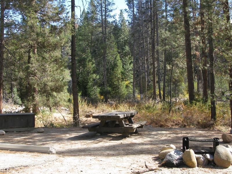 Picnic table, fire pit, bear bin
