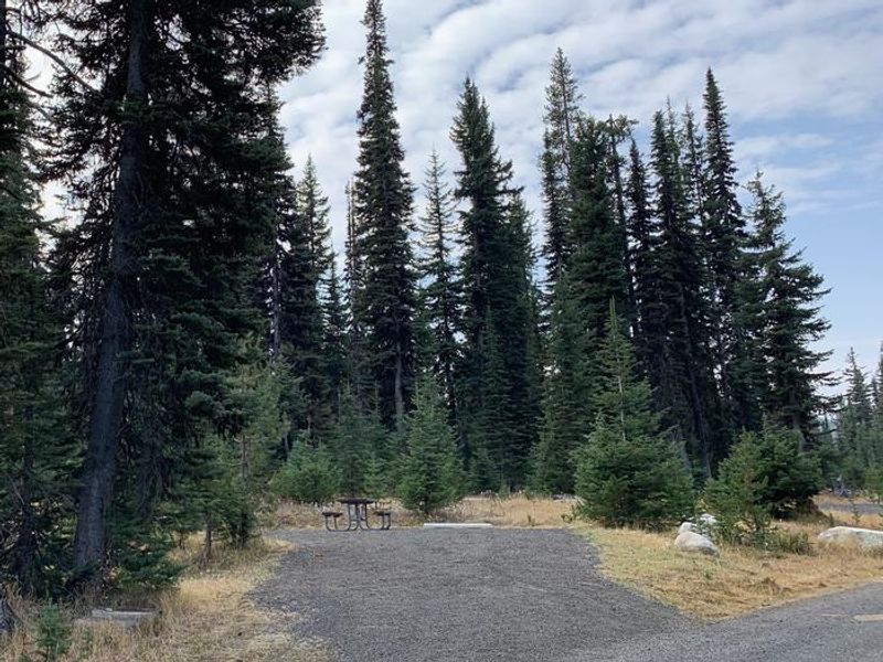 Grouse Campground Site 19 (single site)