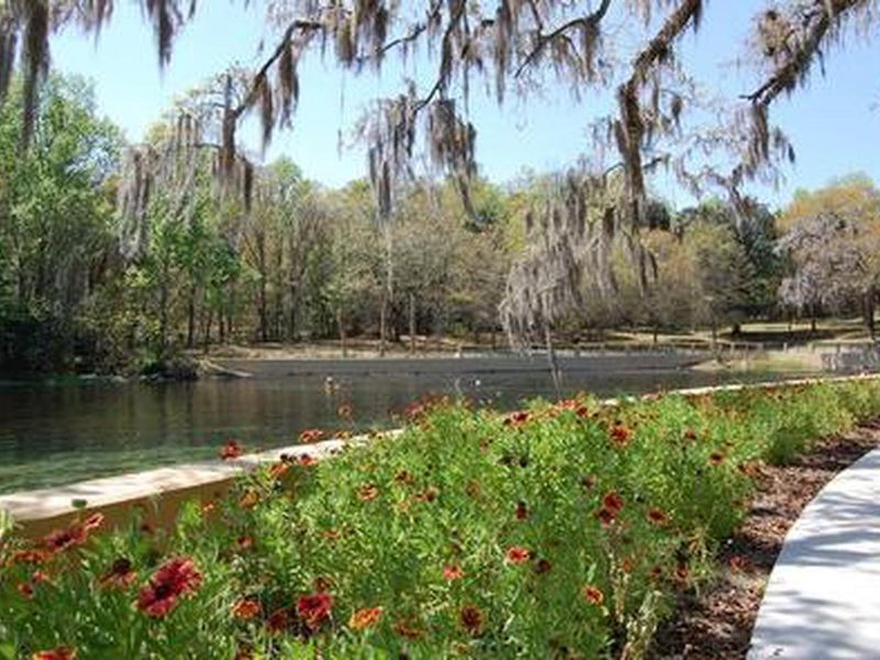 water image with flowers