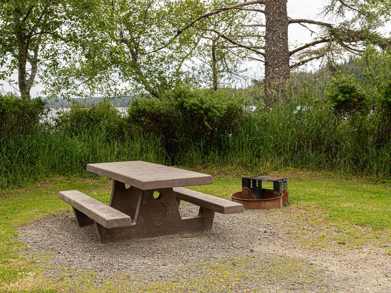 A campmsite at Ozette Campground.