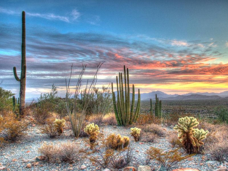 A Twin Peaks Campground sunset, by Duncan_Sinclair.