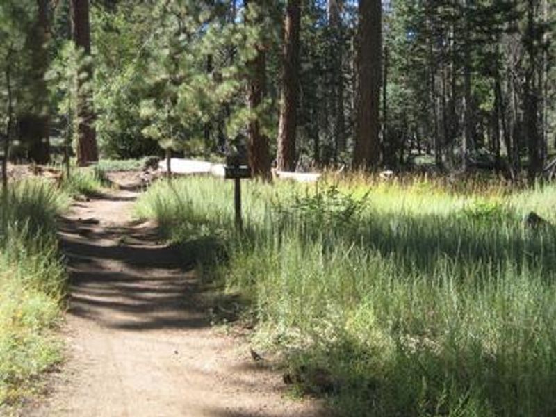Scenic View of Deer Group Camp