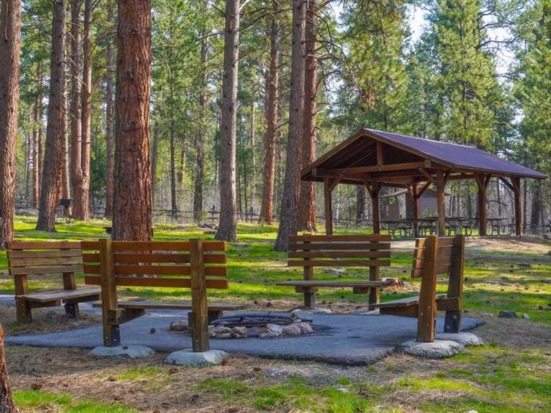 Fire Ring and Seating