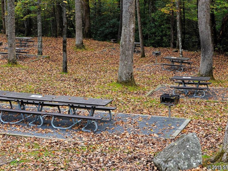 Day use picnic area includes picnic tables and grills.
 20+ creek side, 6 accessible picnic tables, 5 in forested median near hiker parking