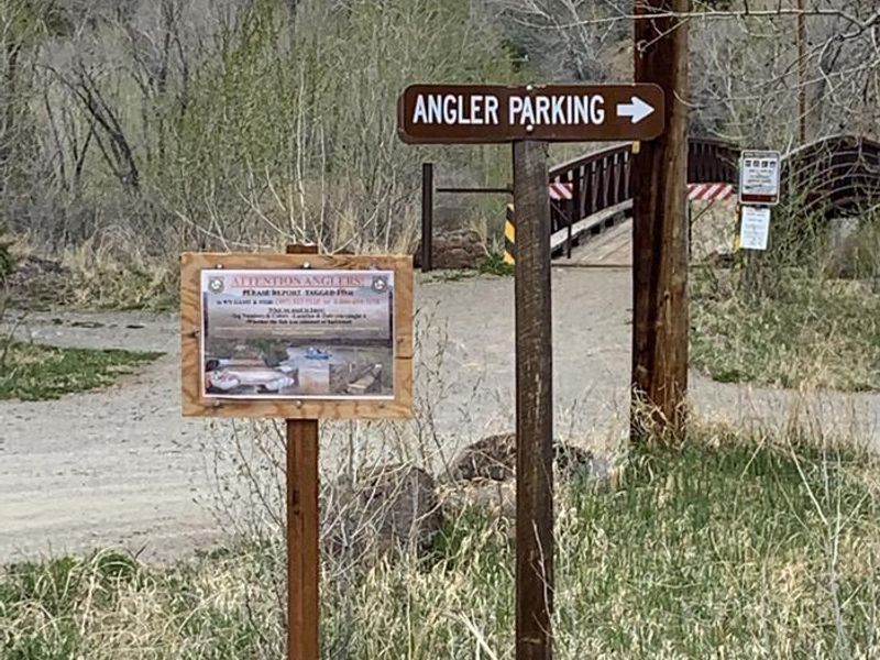 Wapiti Campground, Sign for Angler Parking