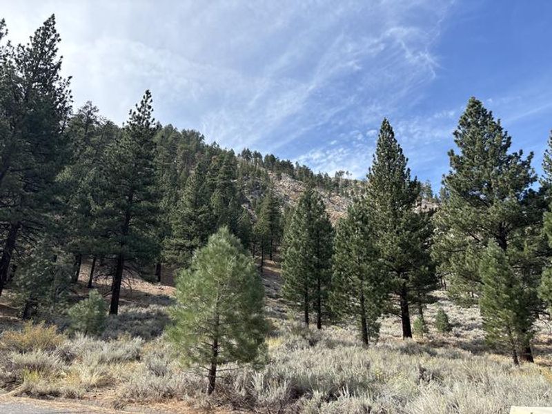 A photo of facility Bootleg with No Amenities Shown