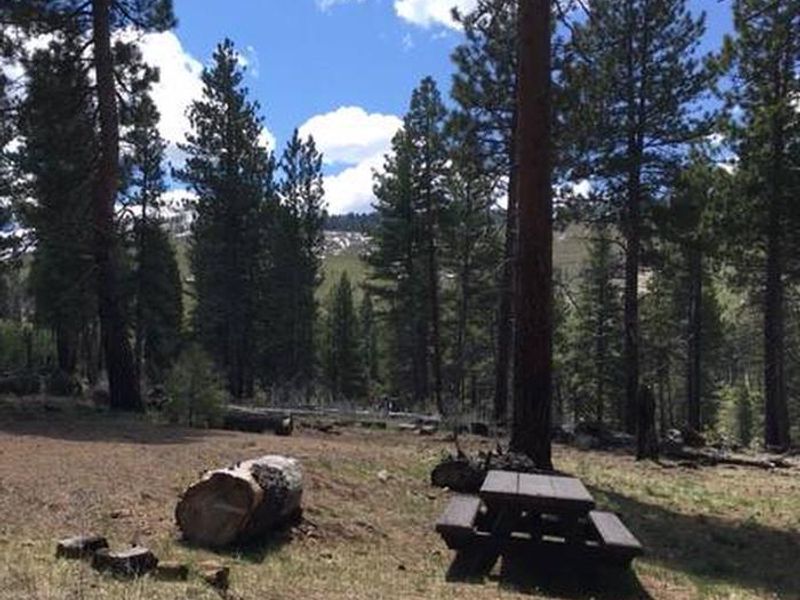 Blue Lake Campground Group Site  