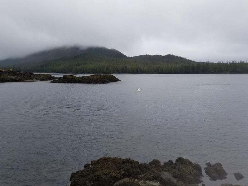 Mooring buoy in front of cabin.