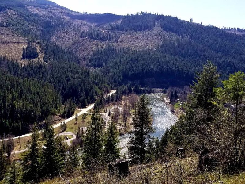 River View Above Huckleberry Campground