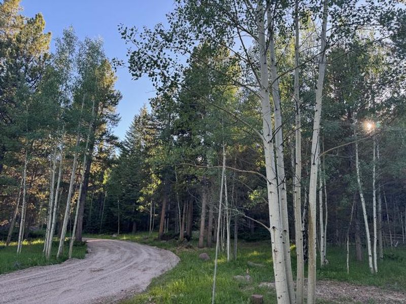 Red Springs Campground - Large Pull Through Site for Camp Trailers